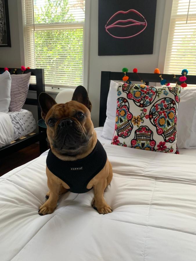 Villa Vibing In The Heights/Breweries/Food/Petfriendly Tampa Exterior foto